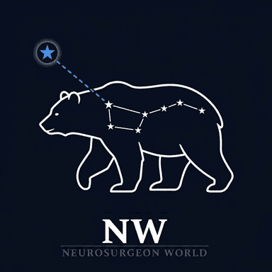 NeurosurgeonWorld — Ursa Major